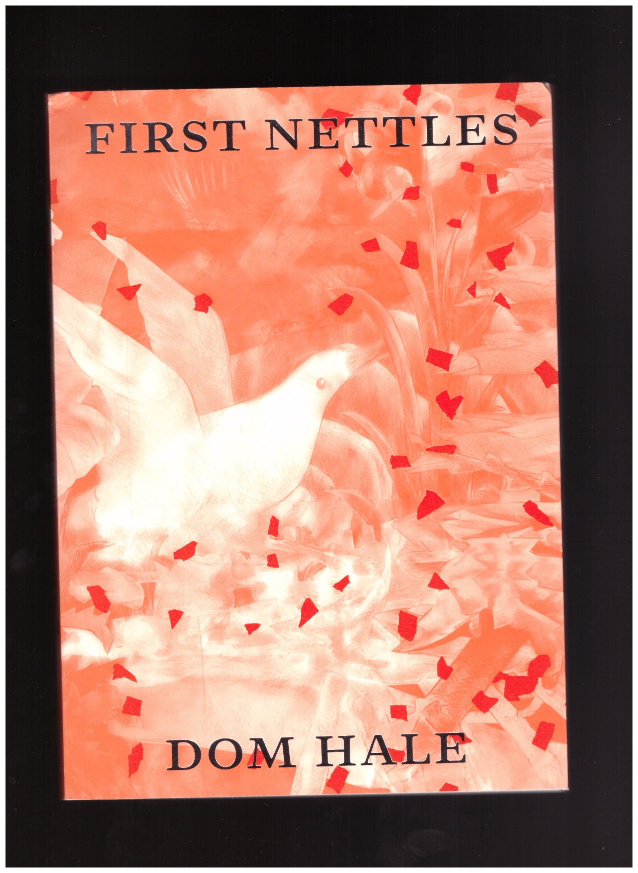 HALE, Dom - First Nettles